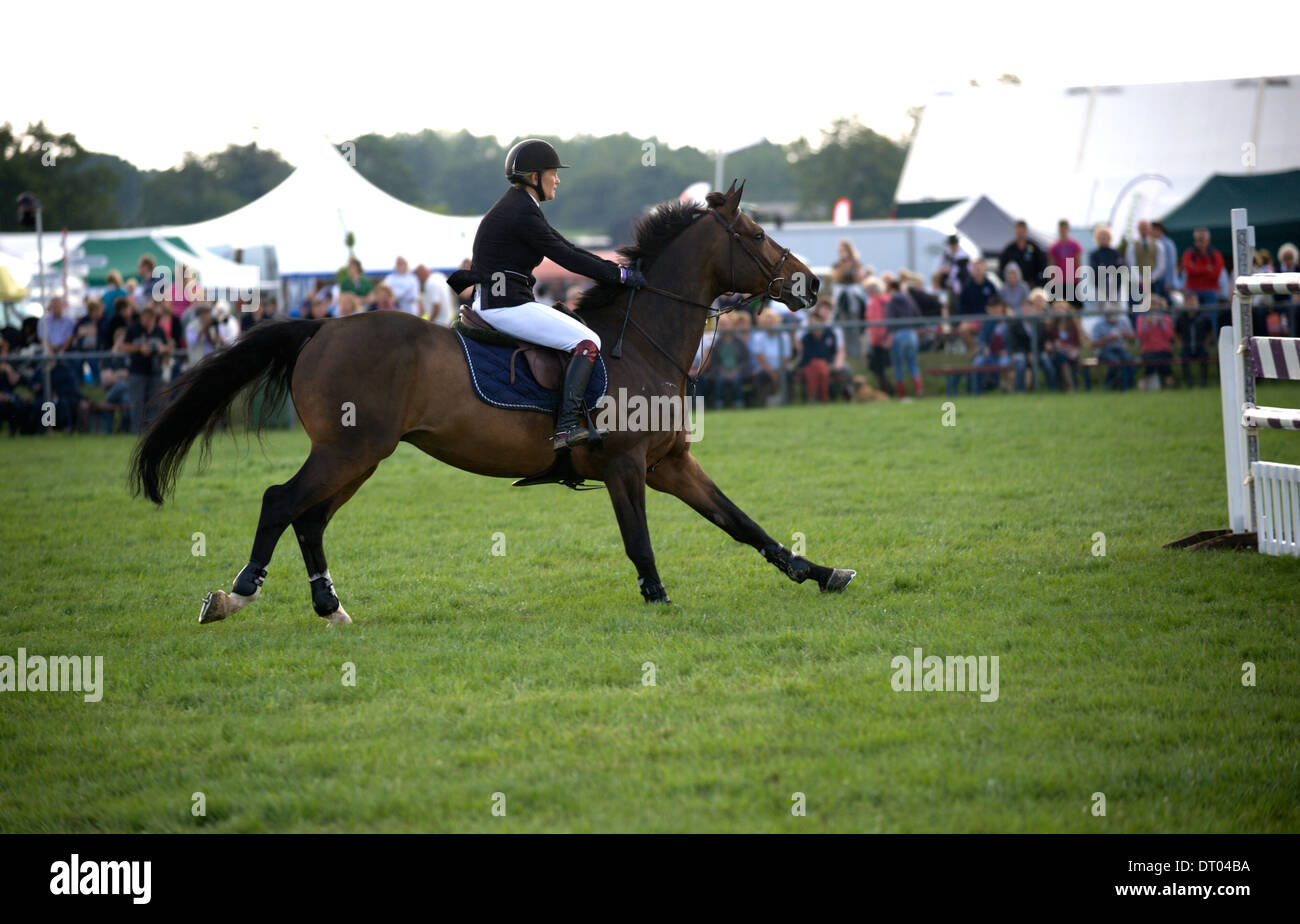 A horse and rider ready to jump a fence in the show jumping competition ...