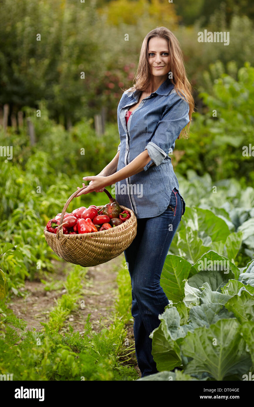 Young woman gardener holding a basket full of red paprika in her garden ...
