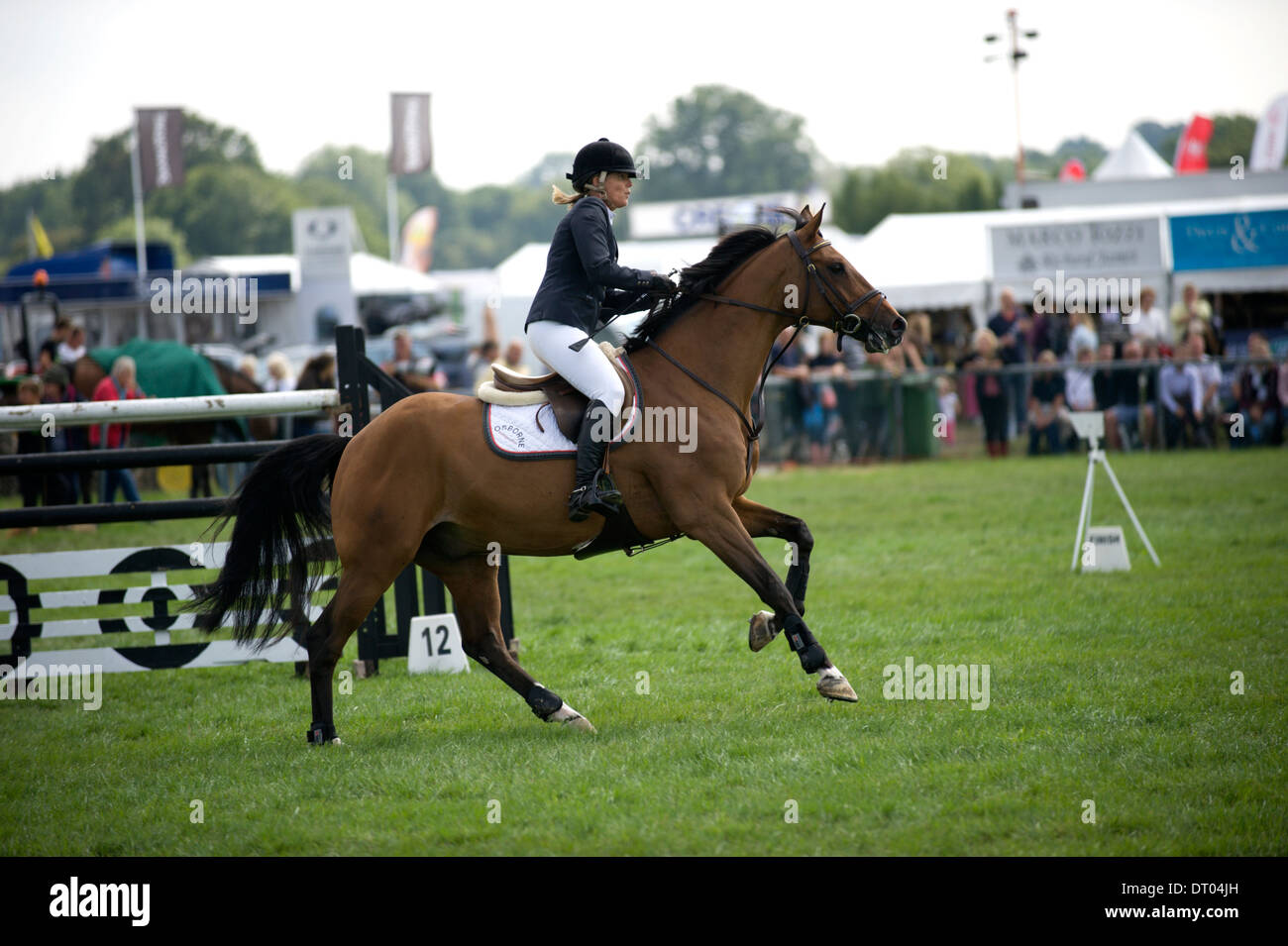 A horse and rider ready to jump a fence in the show jumping competition ...