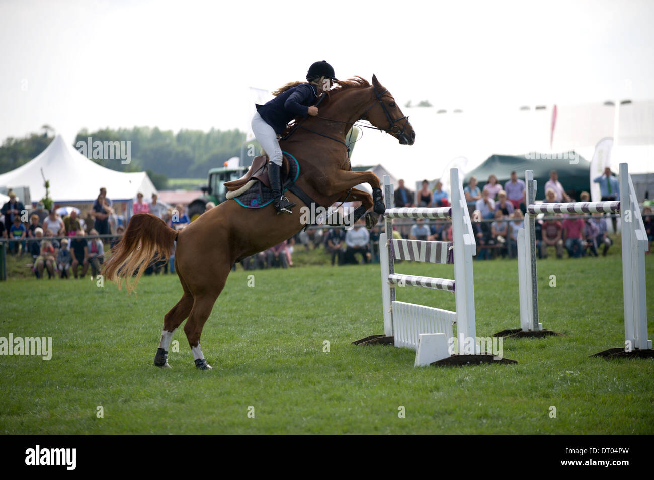 A show jumper in action at the Edenbridge & Oxted Agricultural Show in