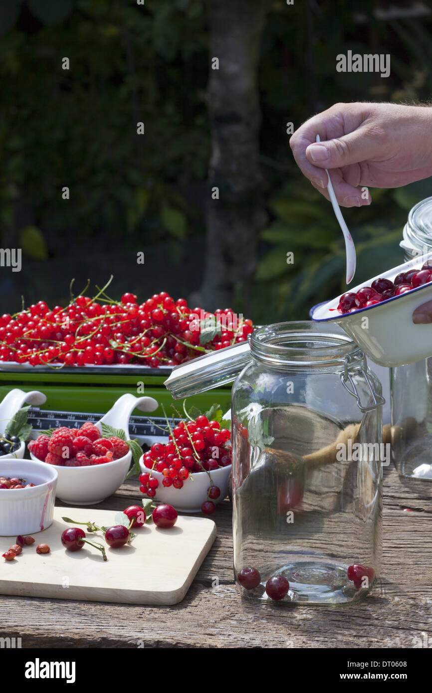 Cherry liqueur preparation, step 4, fill pitted cherries in a canning