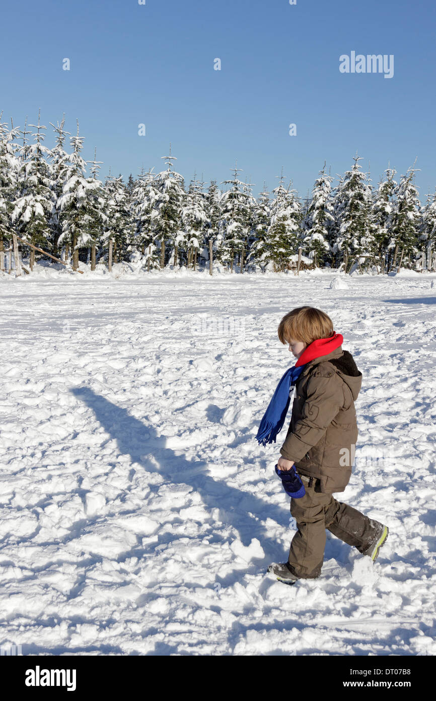 young boy walking through the snow on Kahler Asten near Winterberg, Sauerland, Northrhine Westfalia, Germany Stock Photo