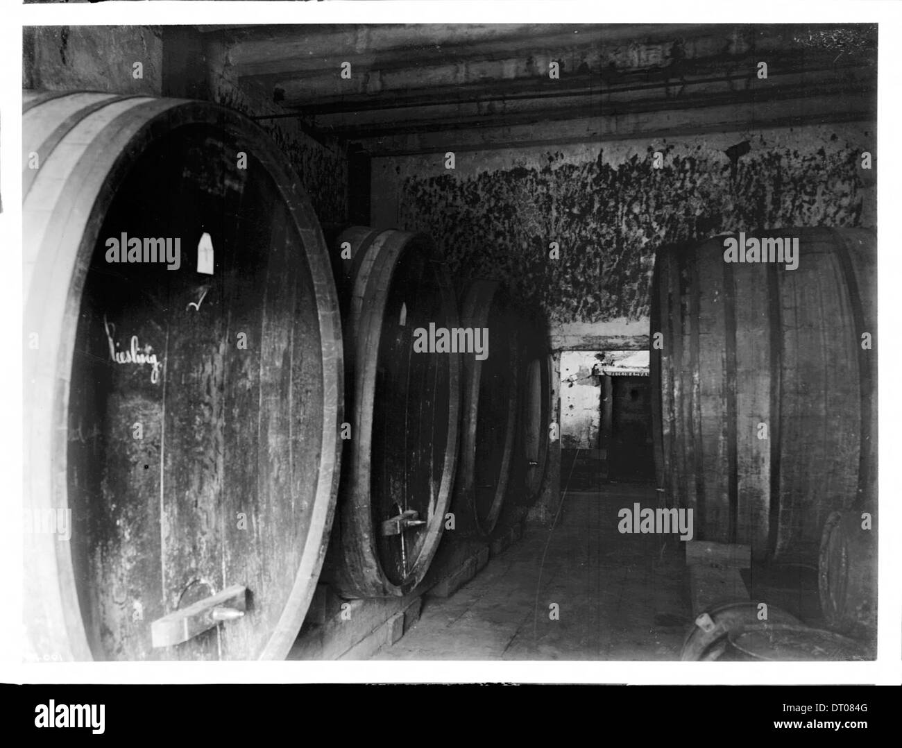 Casks of wine in the wine cellar of Mission San Jose de Guadalupe, 1904