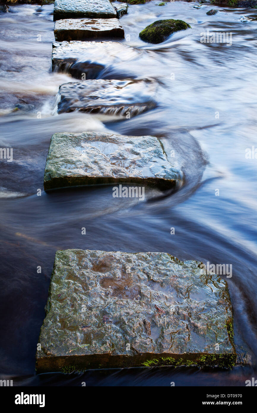 Stepping Stones over Kex Beck near Beamsley North Yorkshire England Stock Photo