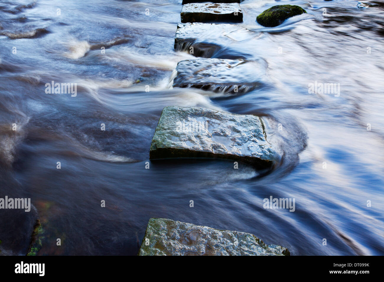 Stepping Stones over Kex Beck near Beamsley North Yorkshire England Stock Photo