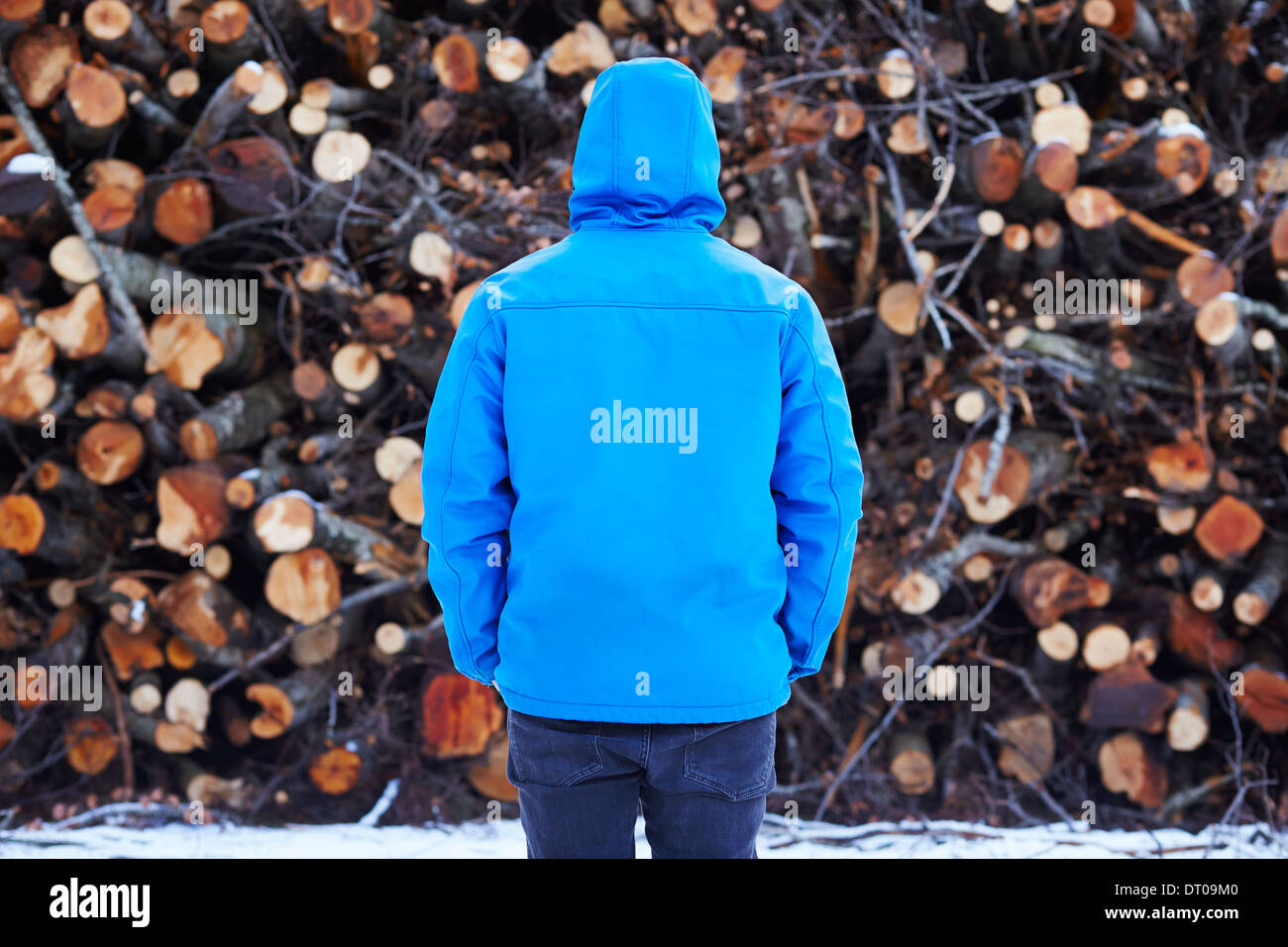 Young man on blue jacket staring at log stack Stock Photo