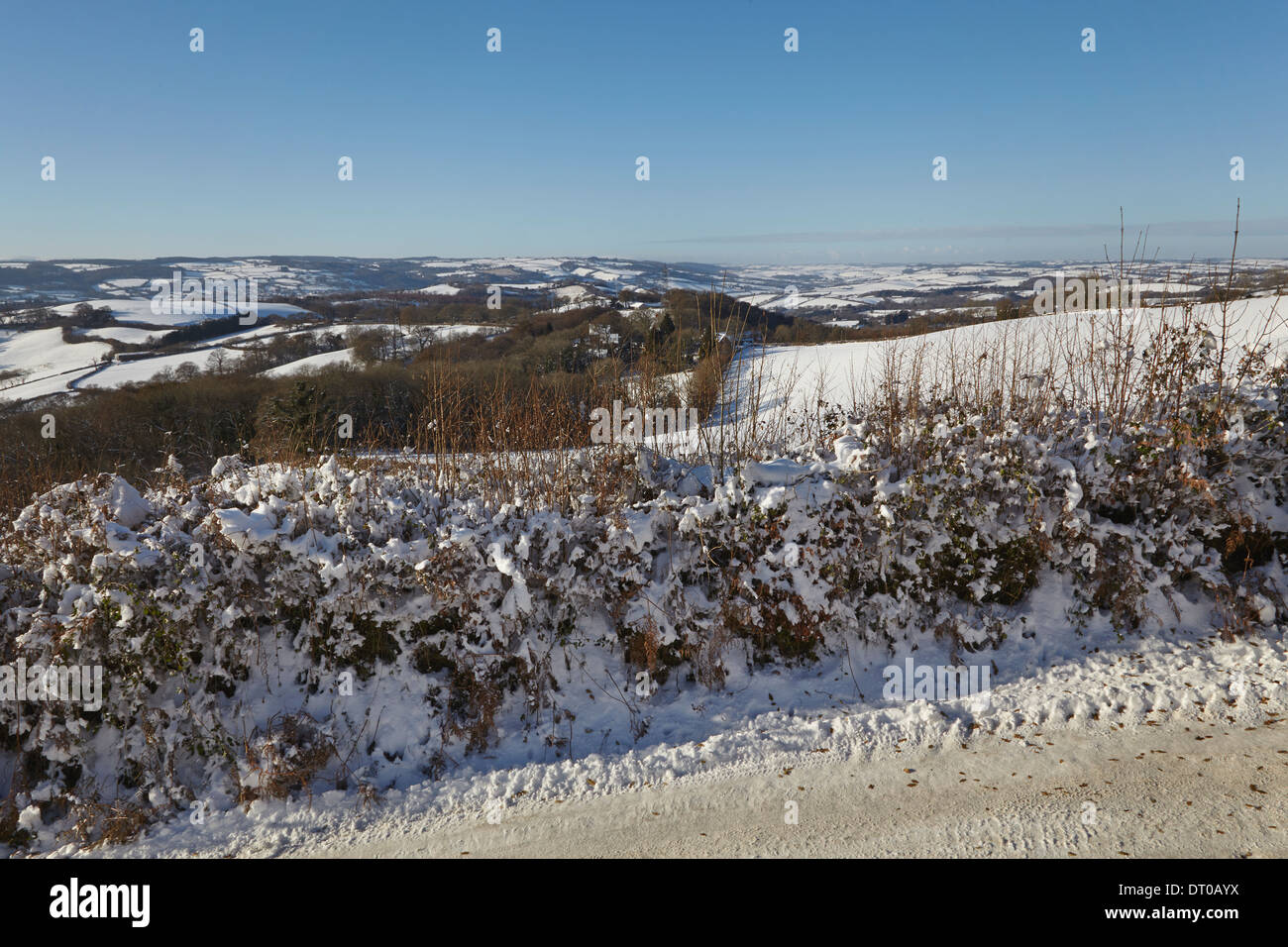 Haldon road view hi-res stock photography and images - Alamy