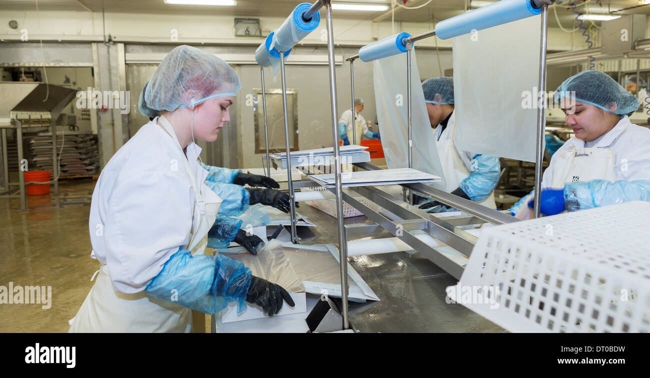 Fish processing plant, Flateyri, West Fjords, Iceland Stock Photo Alamy