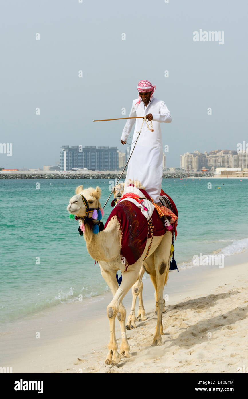 camel ride on beach at Marina district of New Dubai in United Arab Emirates Stock Photo