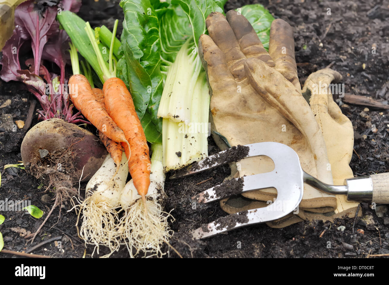 Soil vegetables hires stock photography and images Alamy