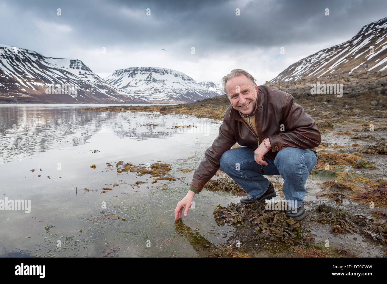Geophysicist checking the water in the fjord, Sugandafjordur, Western, Iceland Stock Photo