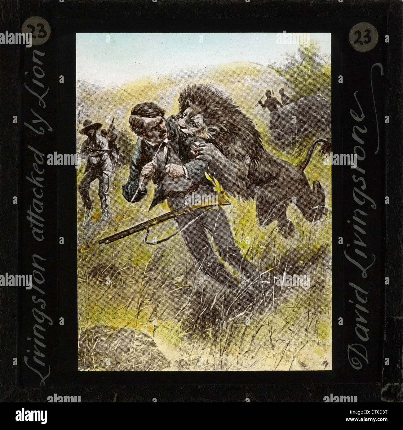 Livingstone and the lion hires stock photography and images Alamy