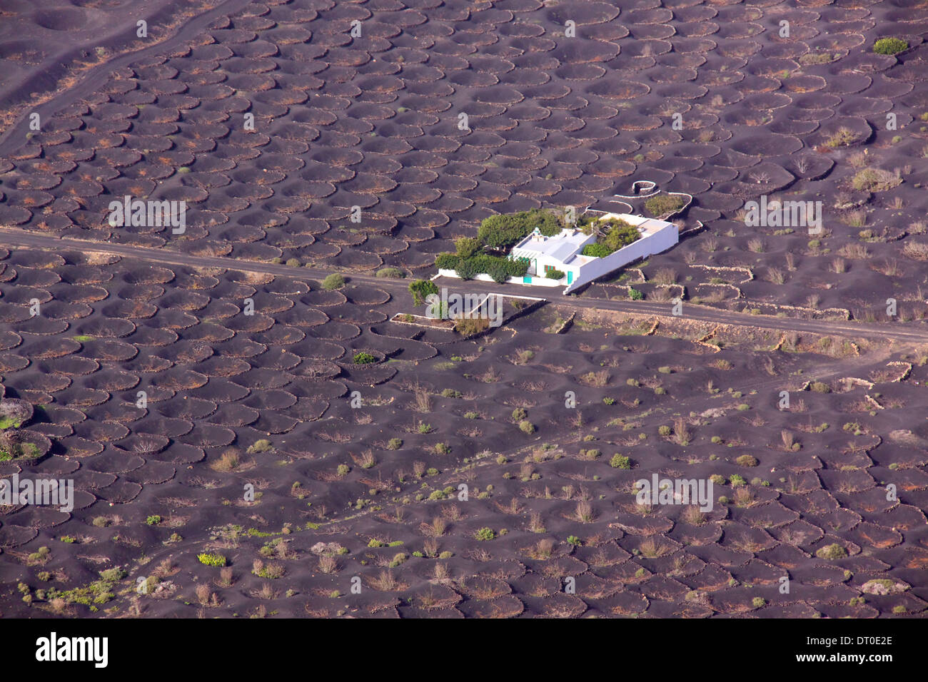 Fertile volcanic soil hires stock photography and images Alamy