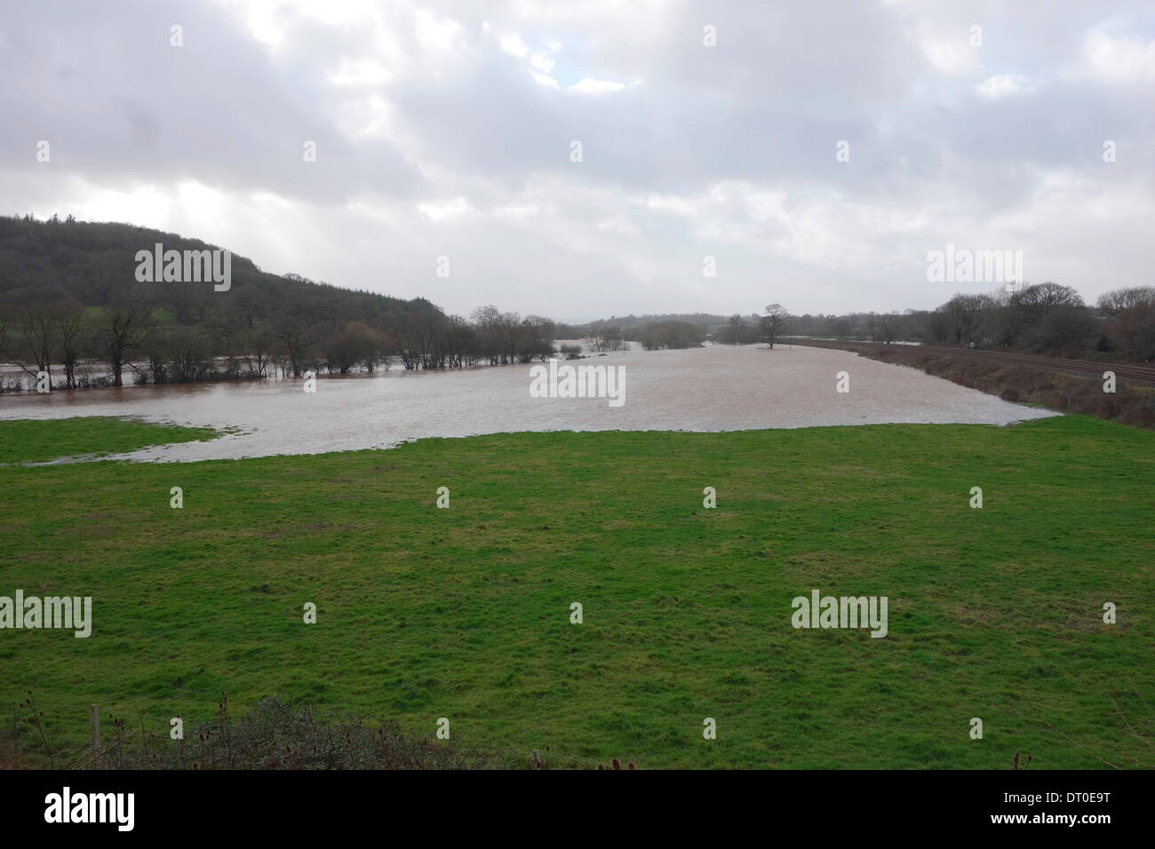 East Devon, UK. 5th Feb, 2014. Flooding and rivers in spate in east Devon - River Culm near Killerton Estate showing Exeter- Paddington main rail line. There appears to be no end to the stormy weather with high winds forecast for the weekend. Credit:  Martin Hughes-Jones/Alamy Live News Stock Photo