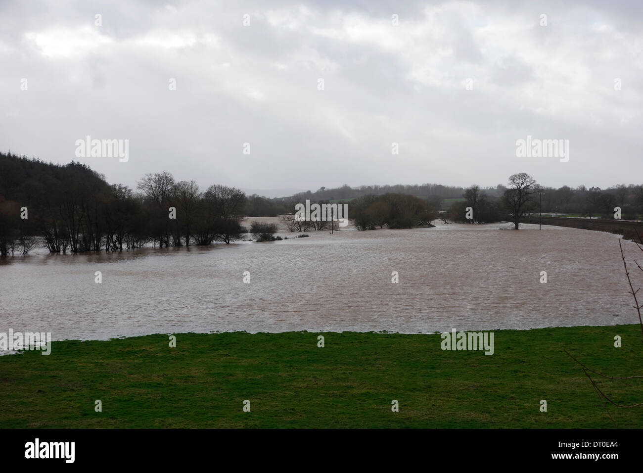 East Devon, UK. 5th Feb, 2014. Flooding and rivers in spate in east Devon - River Culm near Killerton Estate showing Exeter- Paddington main rail line. There appears to be no end to the stormy weather with high winds forecast for the weekend. Credit:  Martin Hughes-Jones/Alamy Live News Stock Photo