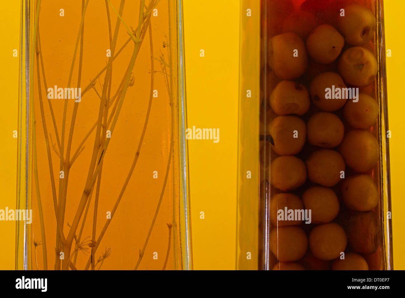 Homemade liqueurs made of sloes and herbs Stock Photo Alamy