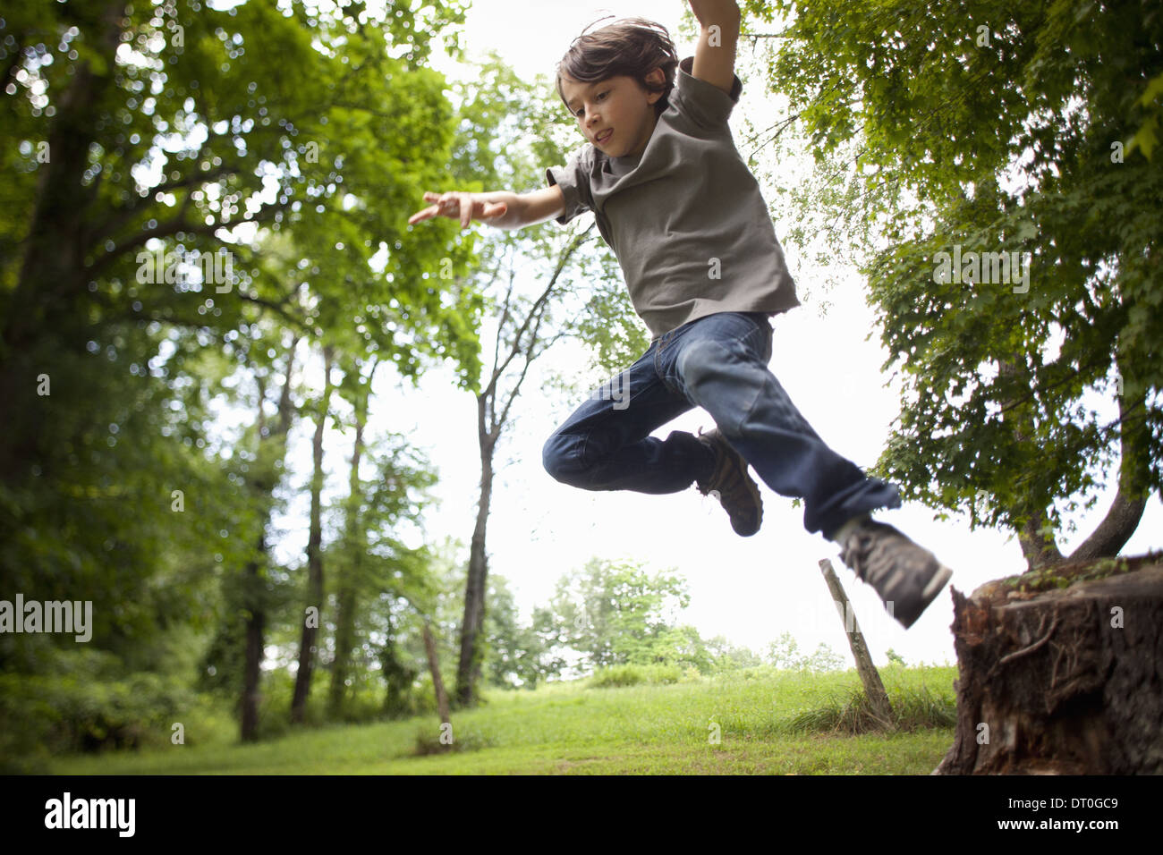 Woodstock New York USA boy leaping from swinging rope in the woods Stock Photo