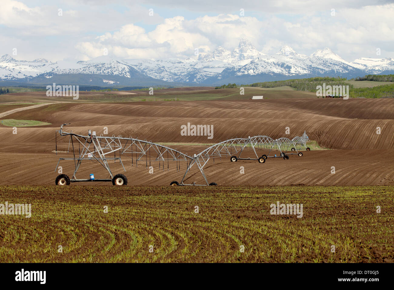 A center pivot sprinkler system in a freshly planted wheat field, with the Teton mountains in the background. Stock Photo