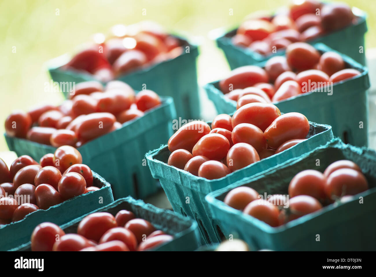 Woodstock New York USA Organic red cherry tomatoes in boxes market stall Stock Photo
