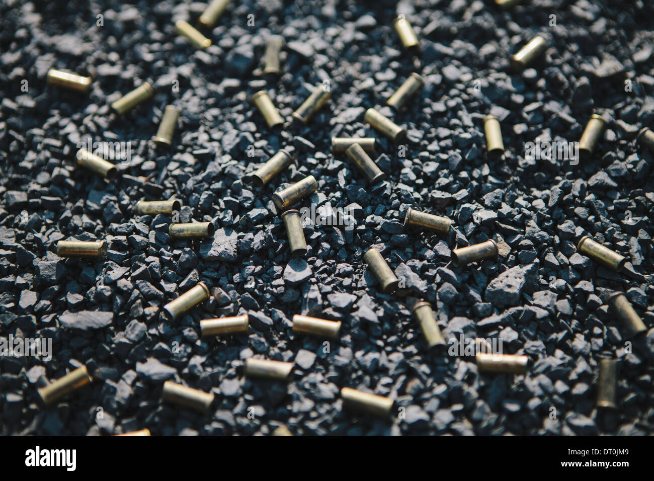 Washington state USA Discarded bullet shells on the ground Stock Photo