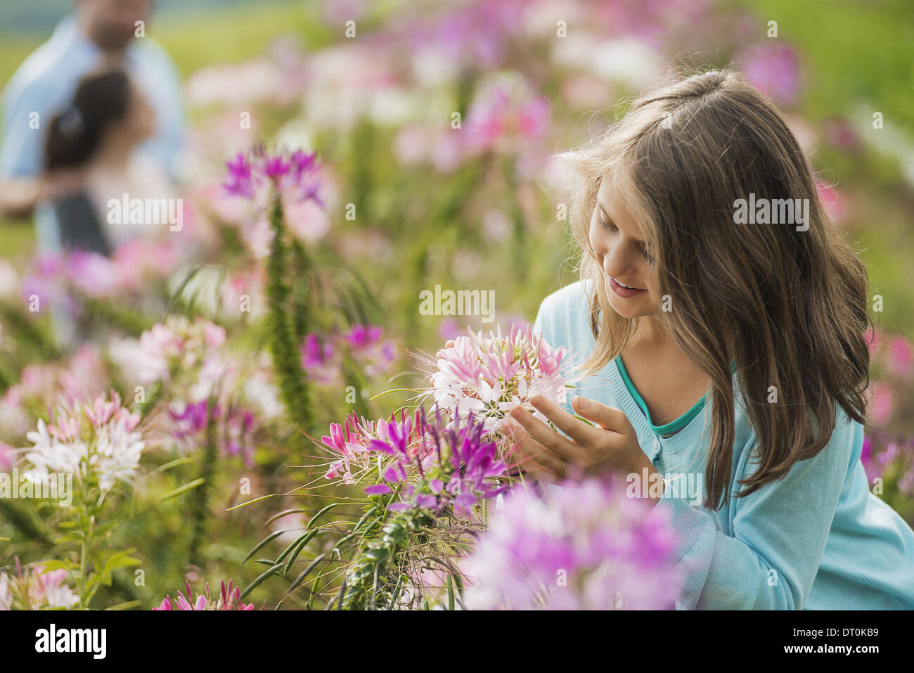 Woodstock New York USA Three people among the flowers organic Flower Farm Stock Photo