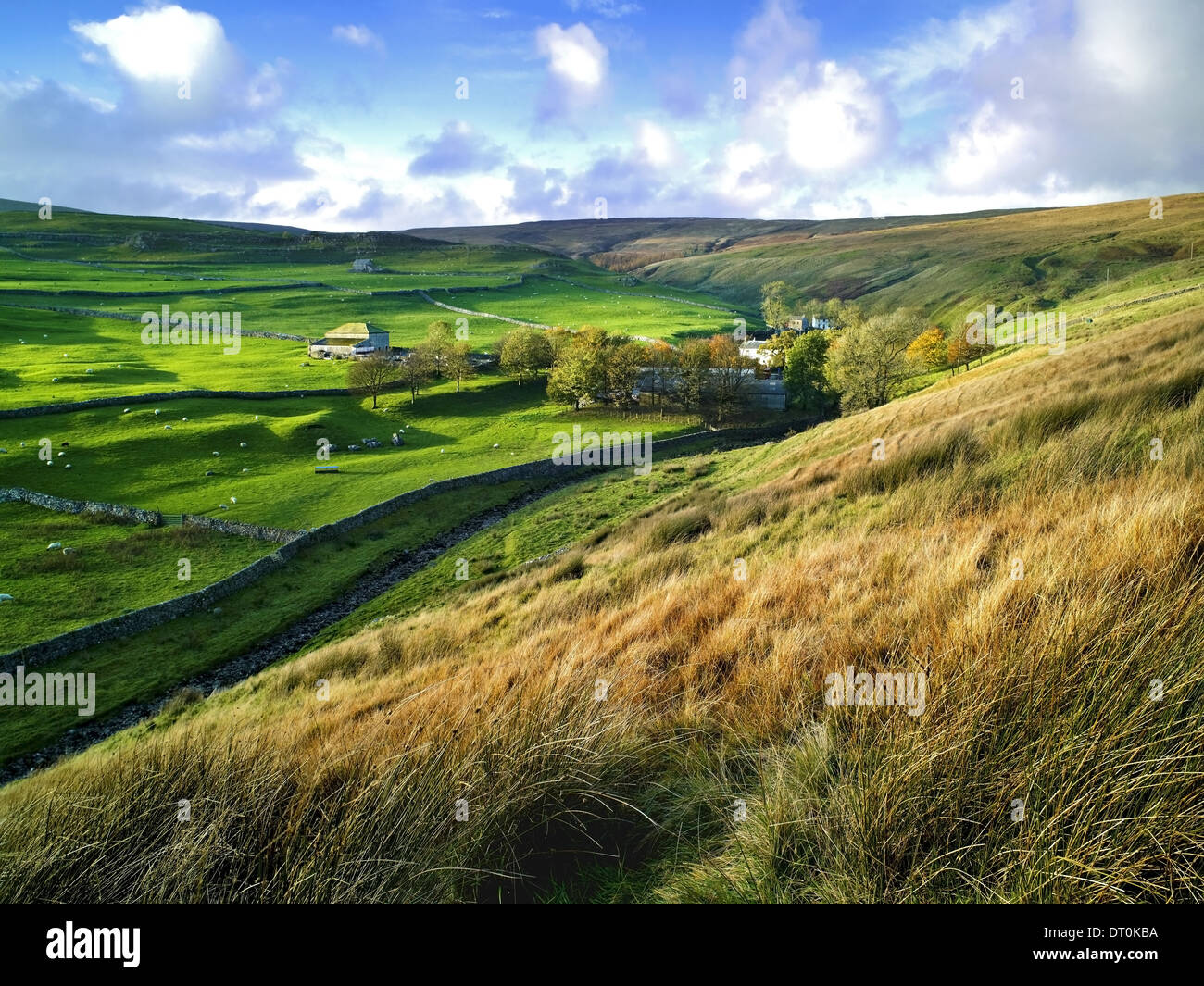 An elevated view of part of Littondale in the Yorkshire Dales, UK Stock Photo