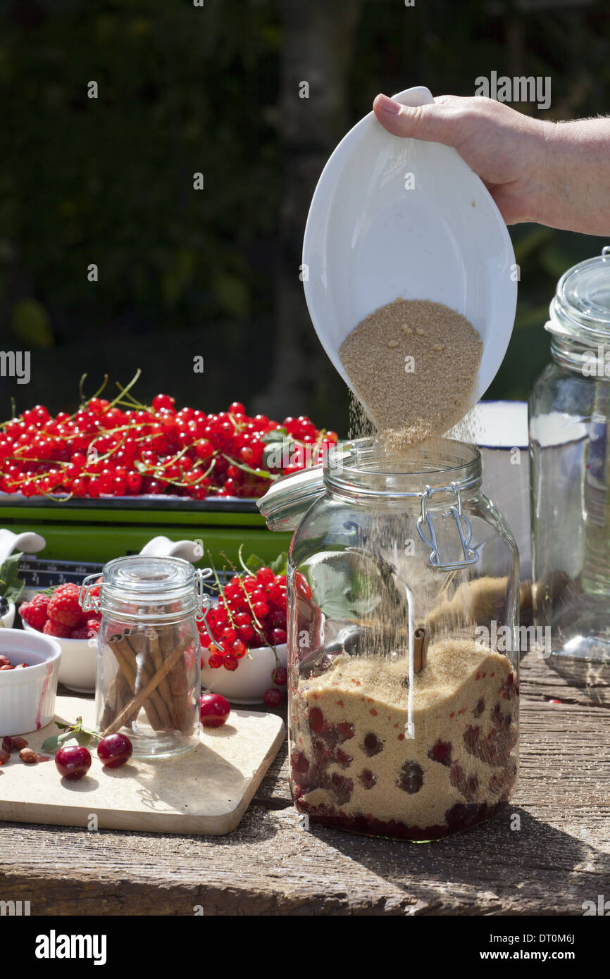 Cherry liqueur preparation, step 5, filling cane sugar in a canning jar
