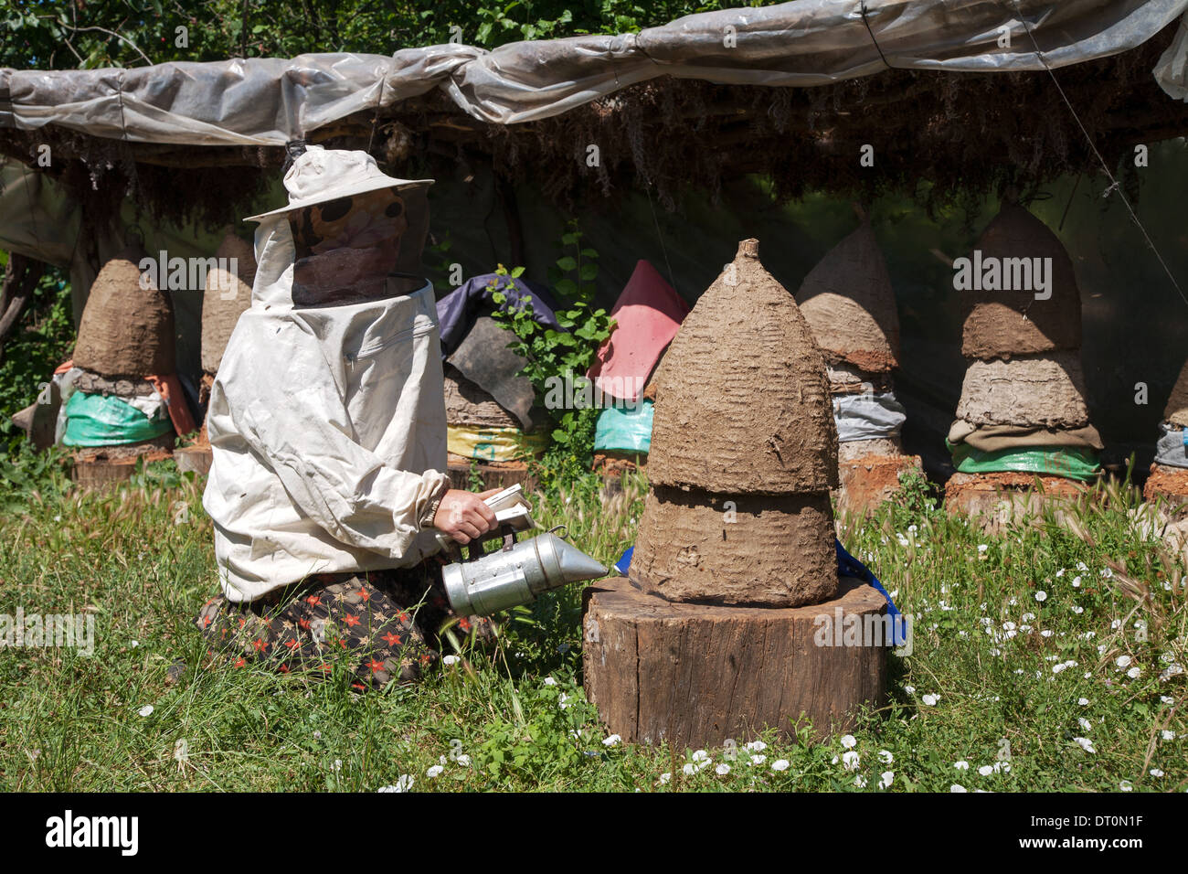 Traditional mud beehives in Kirklareli Thrace Turkey Stock Photo