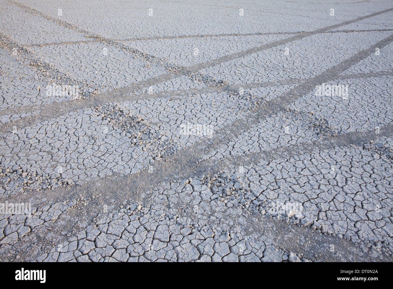 Black Rock Desert Nevada USA Tyre marks tracks in the playa salt pan surface Stock Photo