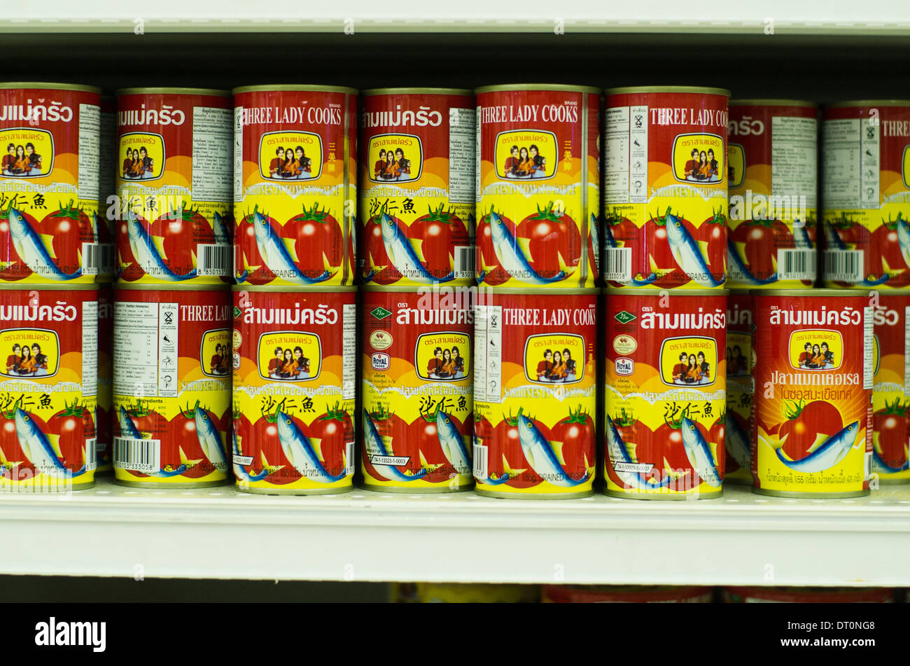 sardine fish cans on shelf of thailand grocery supermarket. Stock Photo