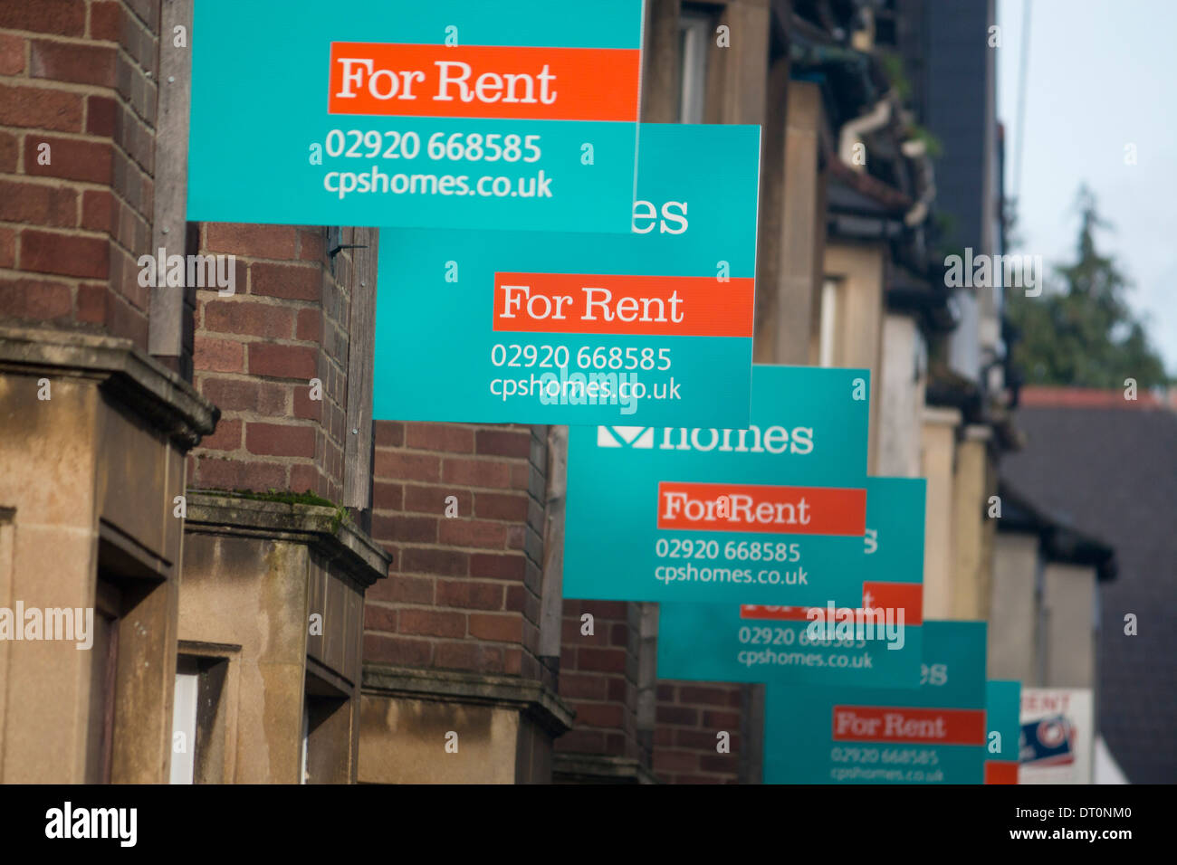 For rent signs outside houses and flats Student Cathays