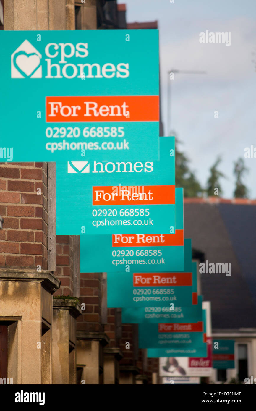 For rent signs outside houses and flats Student Cathays