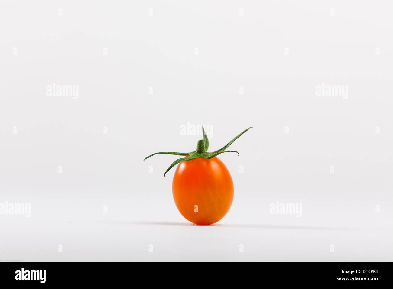 single cherry tomato Stock Photo