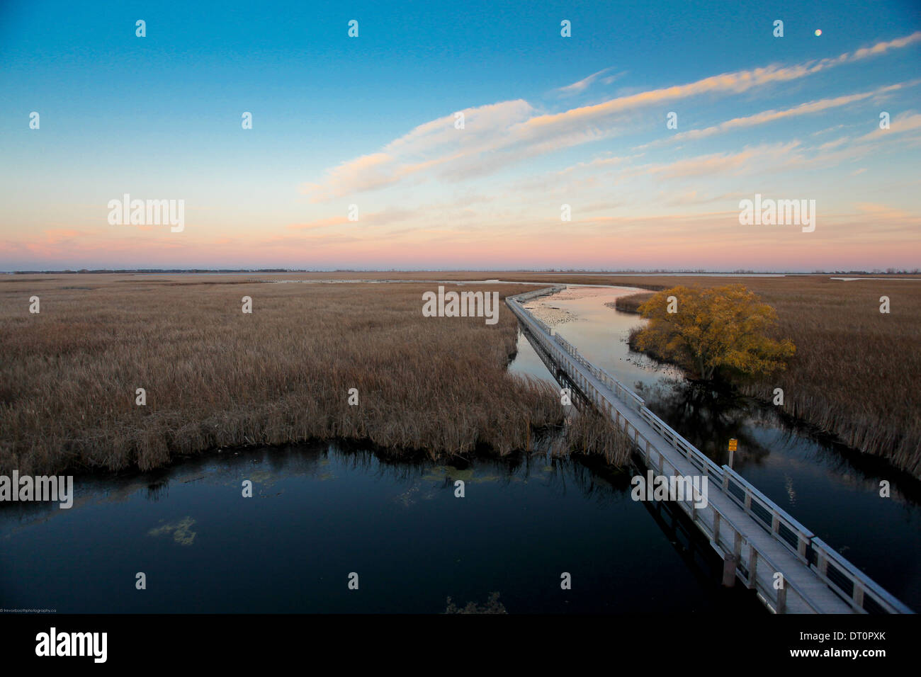 Point Pelee National Park at sunset Stock Photo Alamy