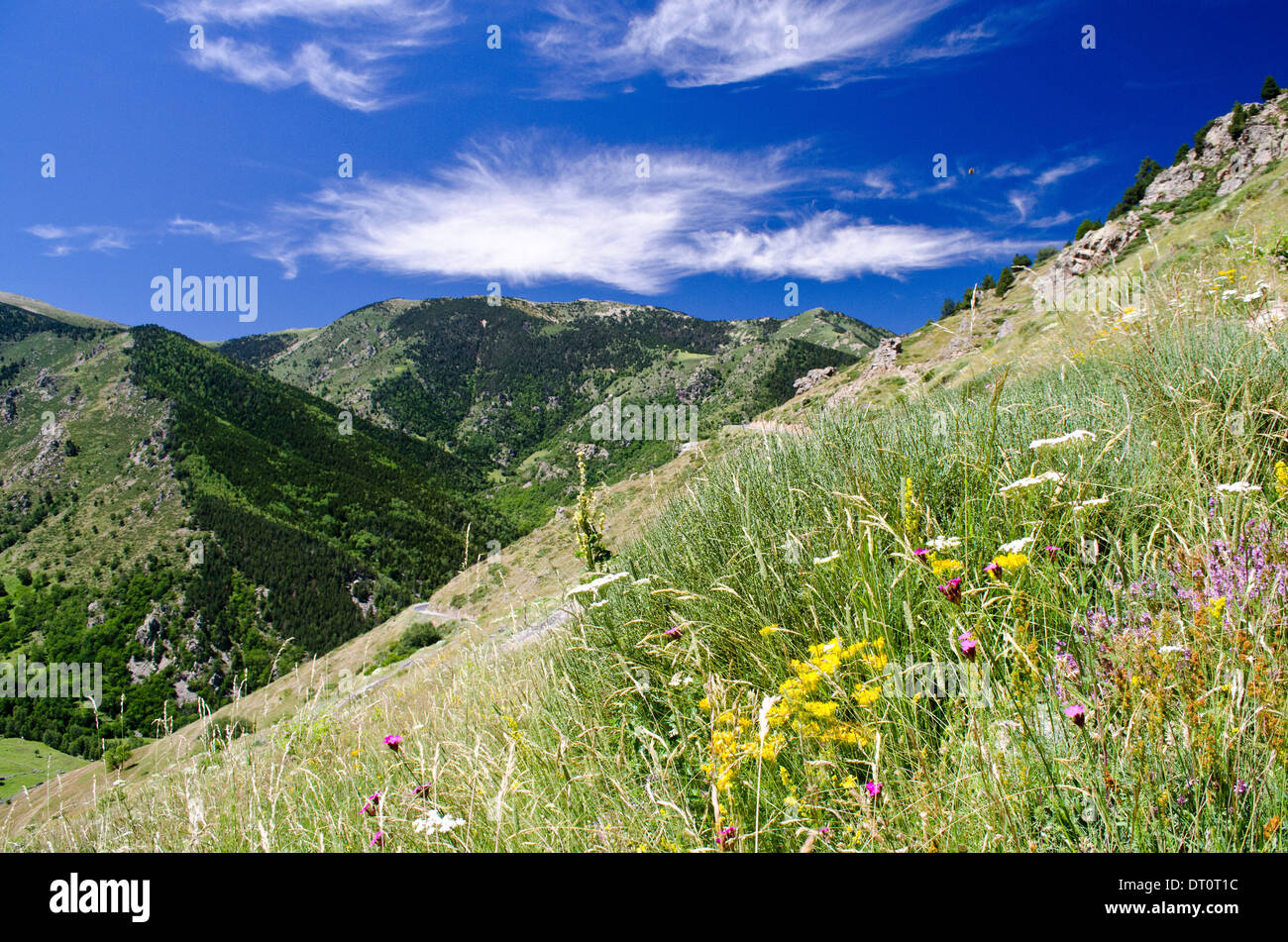 Alpine meadows in the summer in the  french Pyrenees Stock Photo
