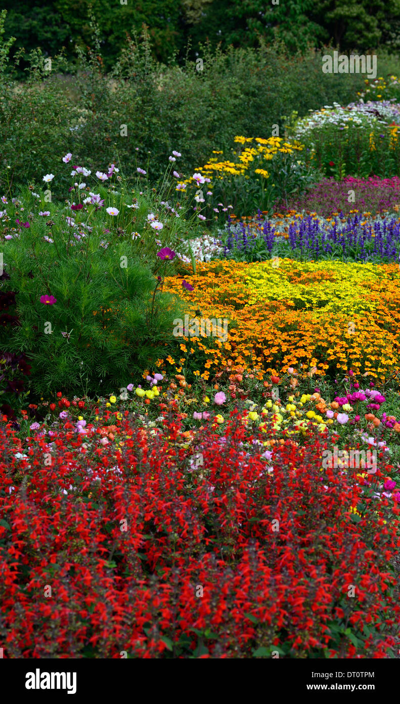 mix mixed flower bed border borders bedding display annuals annual flower flowers planting scheme color colorful Stock Photo