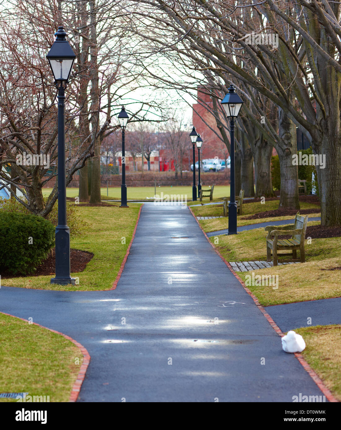 Wet sidewalk with lights going off into the distance Stock Photo Alamy