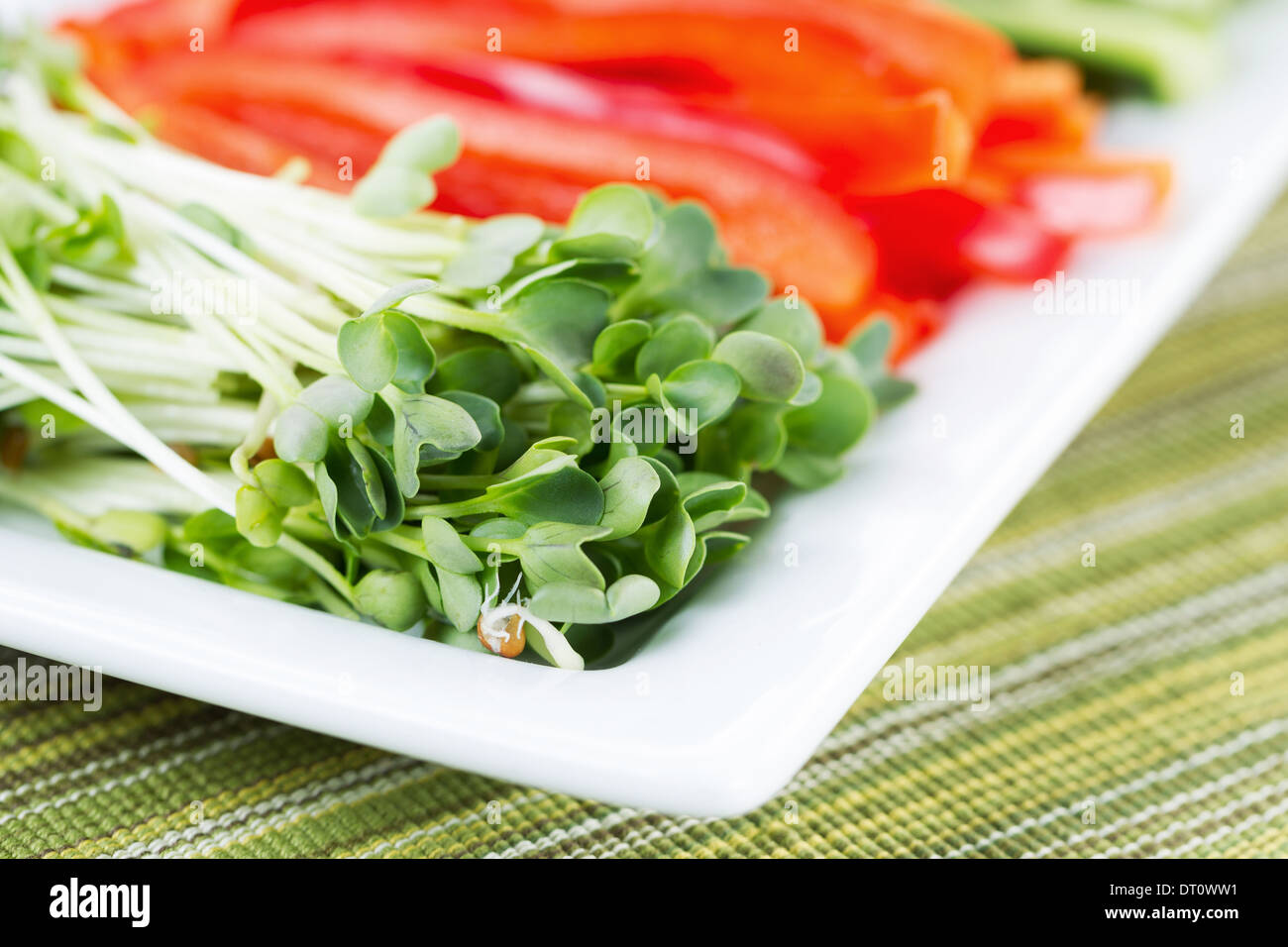 Closeup horizontal photo of fresh daikon radish sproutsused as sushi ingredients placed in white plate with textured table cloth Stock Photo