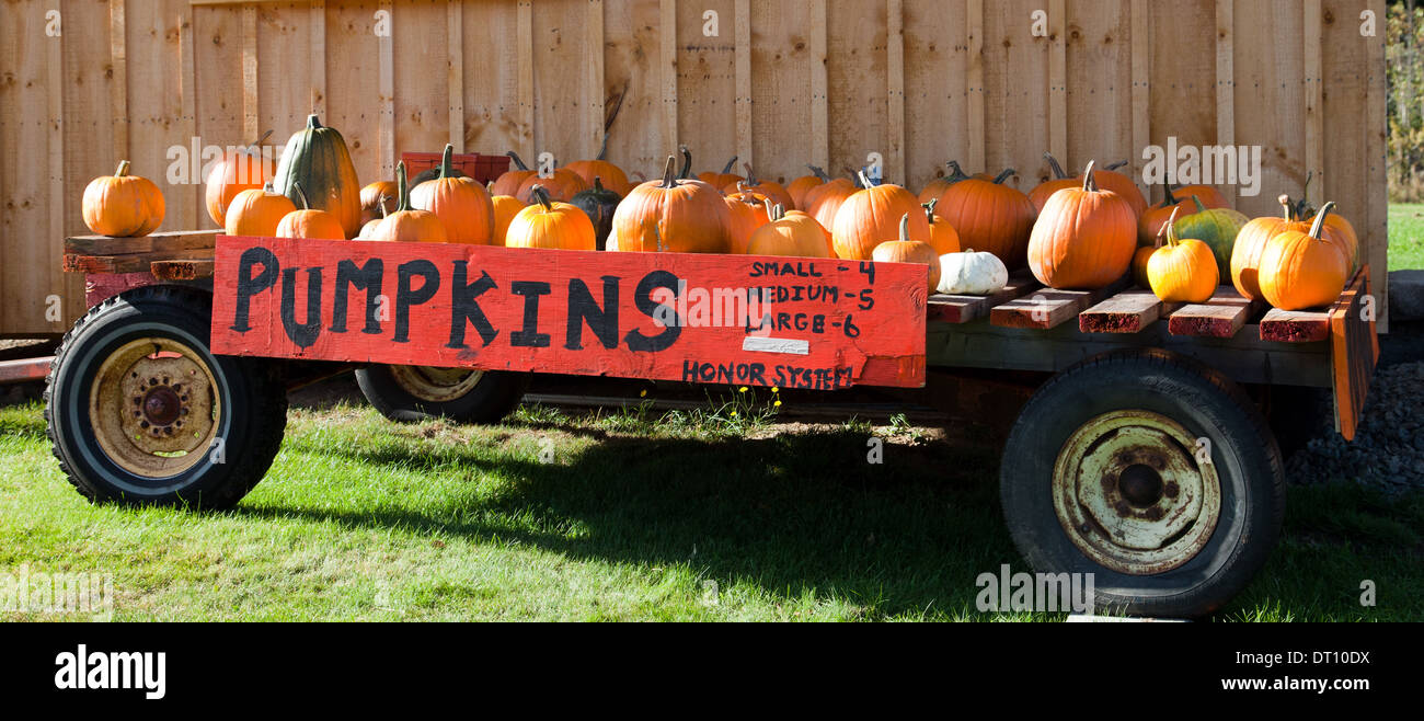 Roadside stand selling pumpkins, Errol area, New Hampshire. Stock Photo