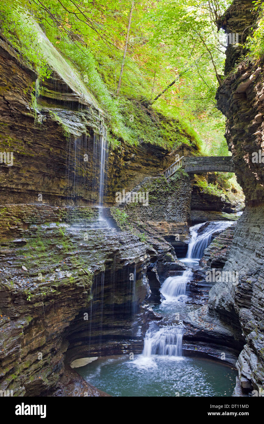 The gorge trail, a narrow ledge on the left, follows a stream in Watkins Glen State Park, upstate New York. Stock Photo