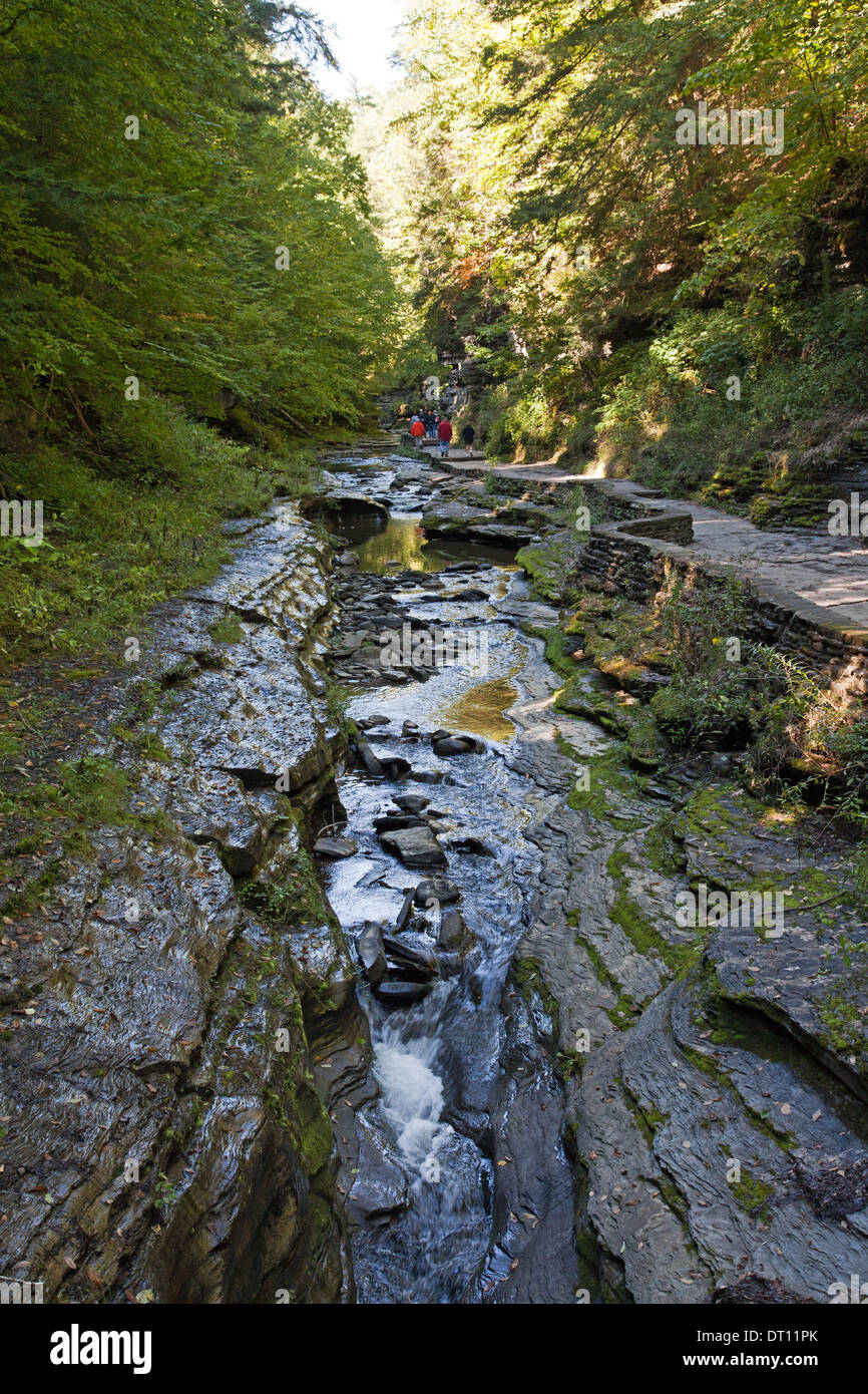 The gorge trail follows a  narrow stream in Watkins Glen State Park, upstate New York. Stock Photo