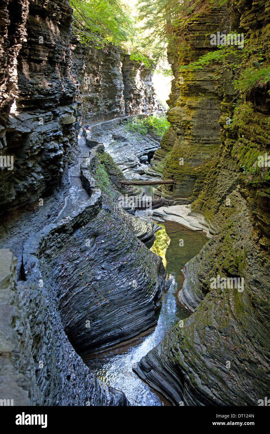 The gorge trail follows a  narrow stream in Watkins Glen State Park, upstate New York. Stock Photo