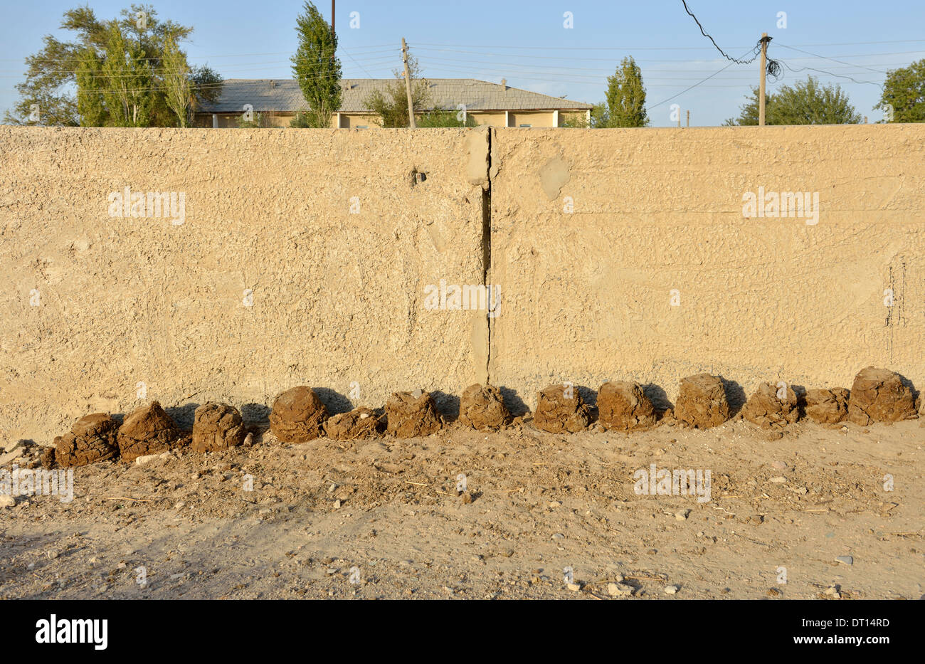 Dried cow dung hi-res stock photography and images - Alamy