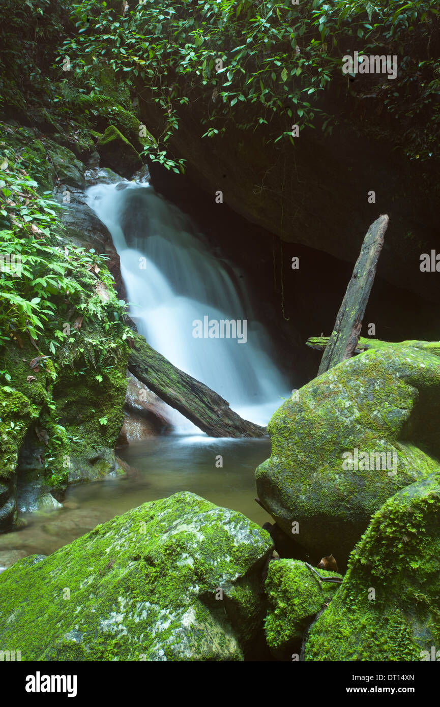 Motion blur of waterfall in natural surroundings, Lupa Masa, Poring, Kinabalu National Park, Sabah, East Malaysia, Borneo Stock Photo