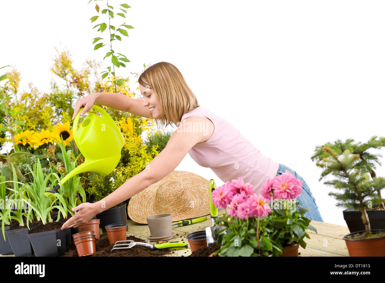 Gardening woman pouring water to plant Stock Photo Alamy