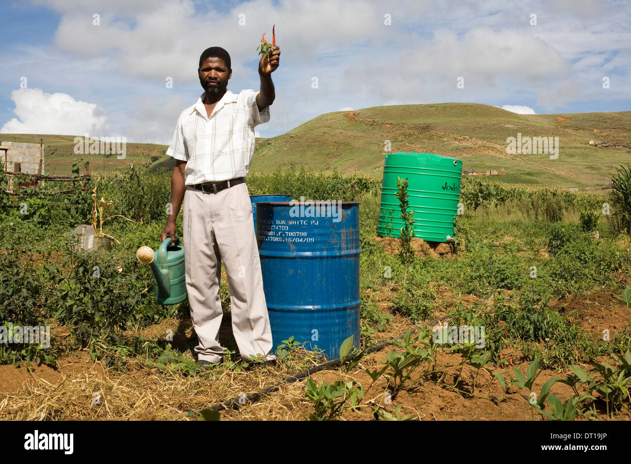 Small scale emerging black farmers in Kwazulu-Natal. Growing soy beans, maize, potatos using innovative ground water collection Stock Photo
