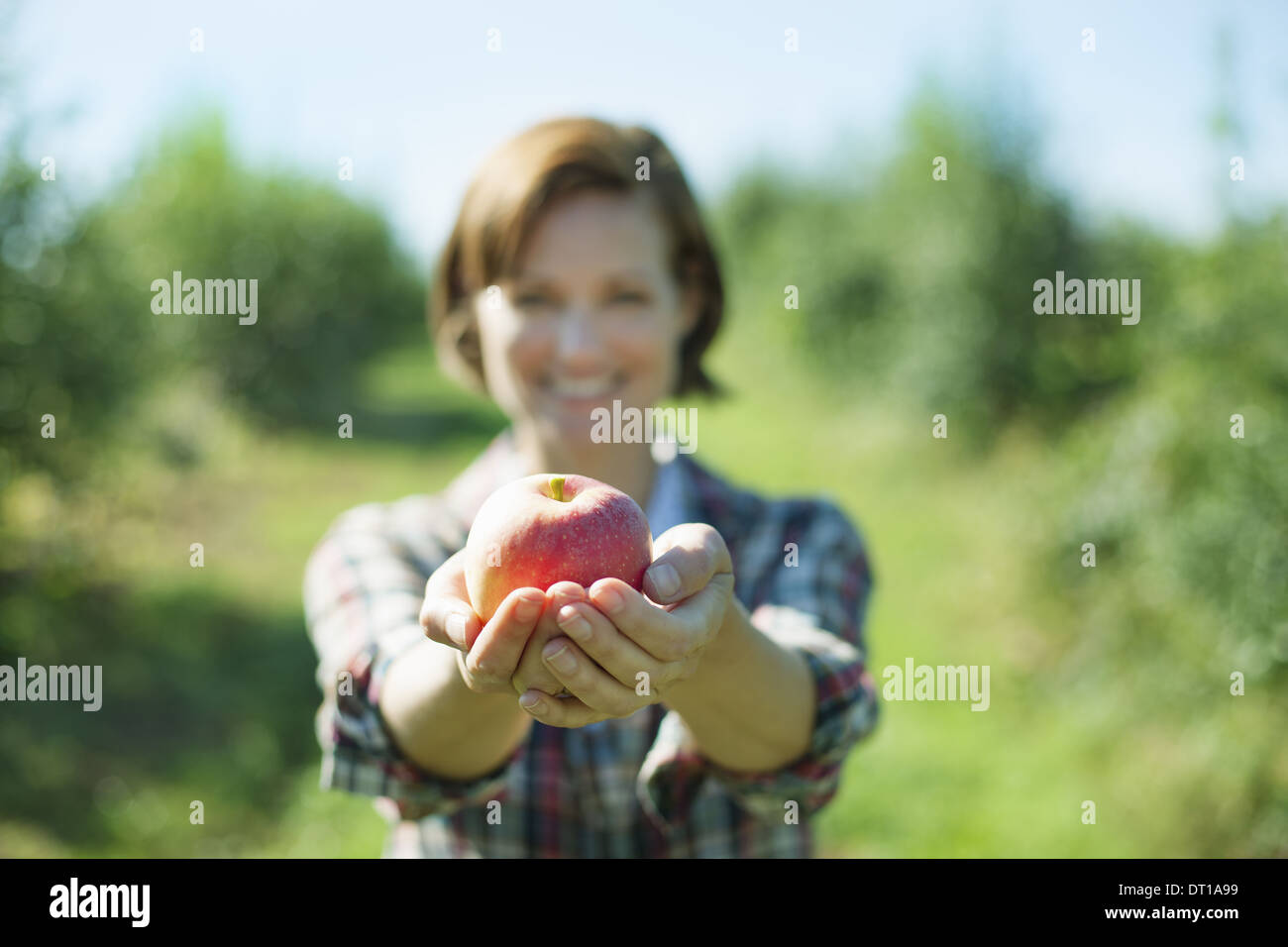 Woodstock New York USA woman in plaid shirt holding apple cupped hands Stock Photo