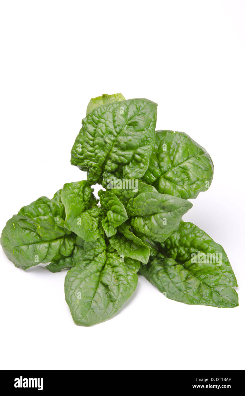 Spinat greens hires stock photography and images Alamy
