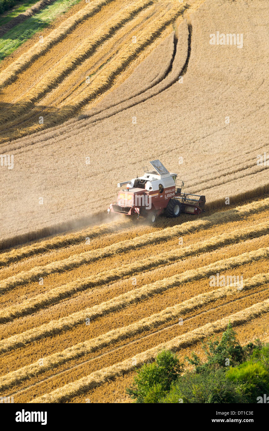 Aerial view combine harvester in wheatfield hires stock photography