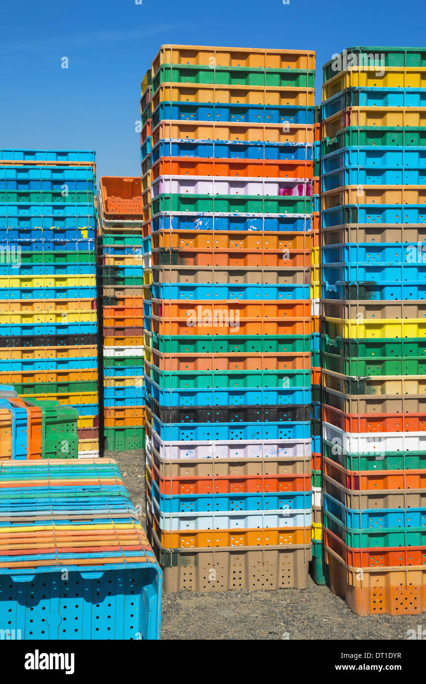 Washington State USA Stacks multi-colored containers for grape harvest Stock Photo
